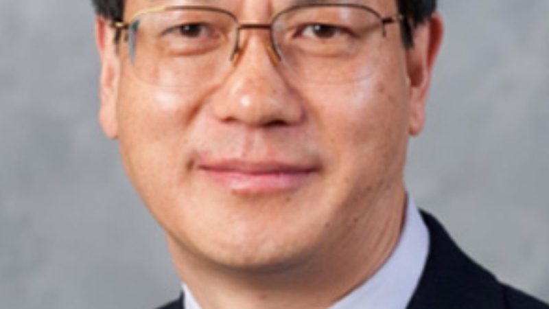 二极管价格解析：揭秘影响价格的关键因素**