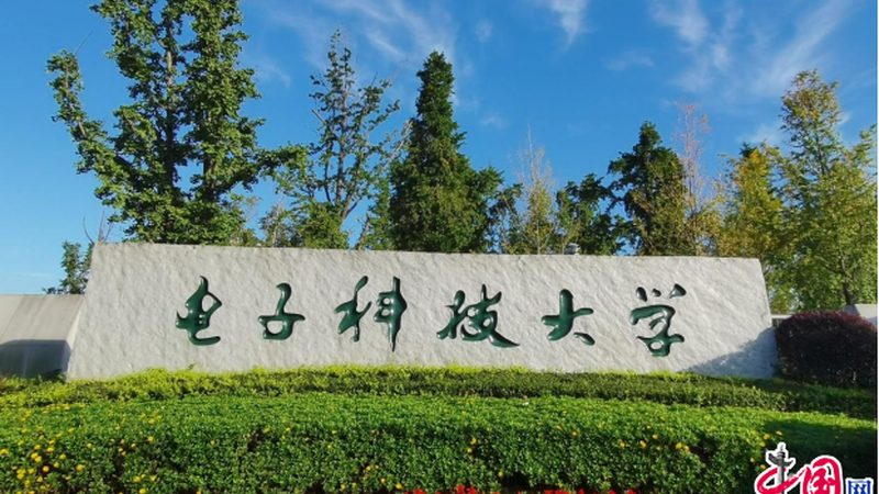 连接器价格之谜：揭秘影响价格的关键因素